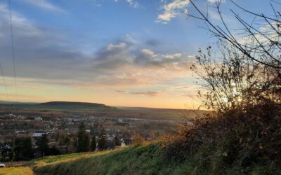 Des nouvelles d&rsquo;apolline durant son volontariat au centre sophie barat